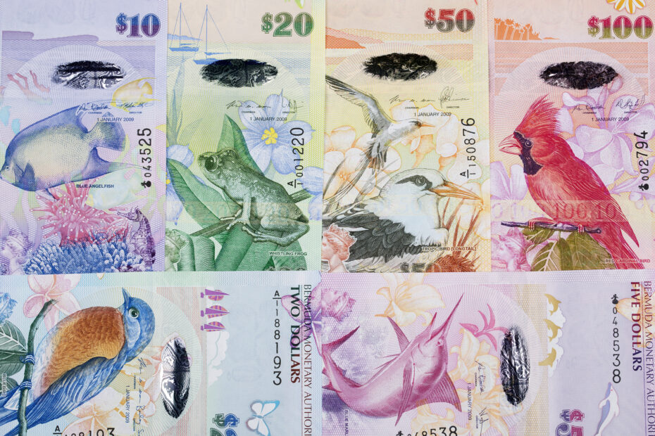Bermudian dollar